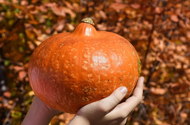 Similar image 22287814