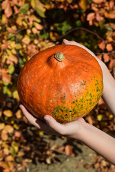 Similar image 22287815