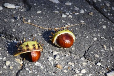 Similar image 22289174