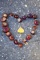 Similar image 22289175