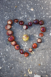 Similar image 22289176