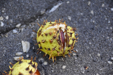 Similar image 22289177