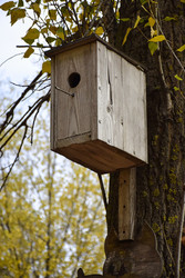 Similar image 22287777