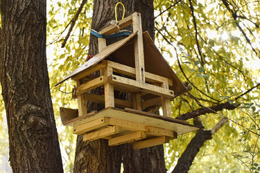 Similar image 22287779