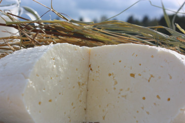 Similar image 22287838