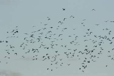 Similar image 22287844