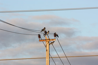 Similar image 22287845