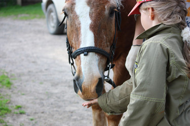 Similar image 22287849