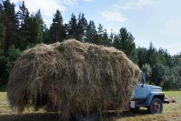 Similar image 22287850