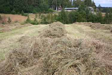 Similar image 22287851