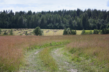 Similar image 22287852