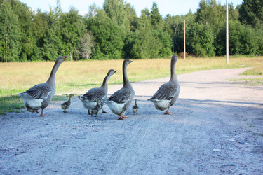 Similar image 22287853