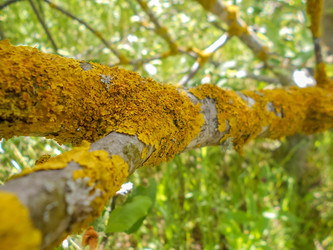 Similar image 22287611