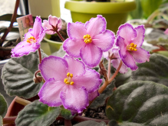 Similar image 22287612