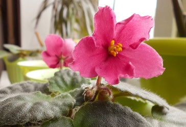 Similar image 22287613