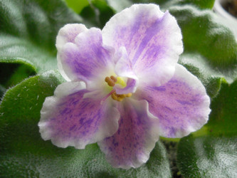 Similar image 22287614