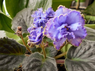 Similar image 22287615