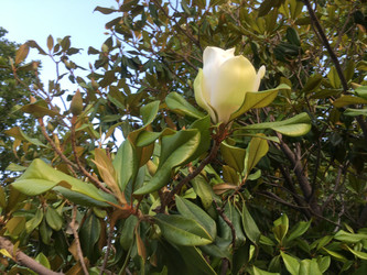 Similar image 22289187