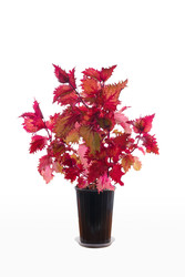 Similar image 22287774