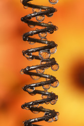 Similar image 22287788