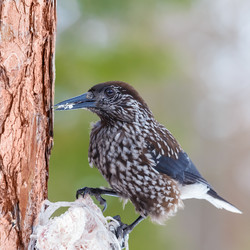 Similar image 22287792