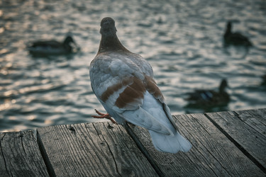 Similar image 22285737