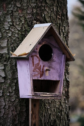 Similar image 22285738