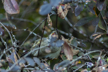 Similar image 22287408