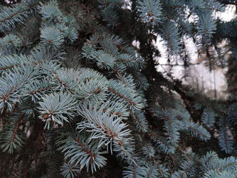 Similar image 22287413