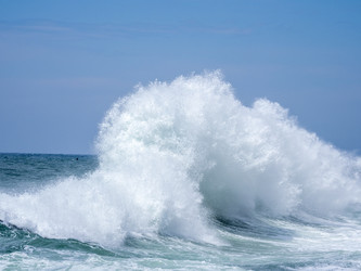 Similar image 22289494