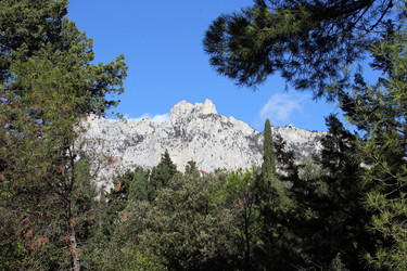 Similar image 22289520