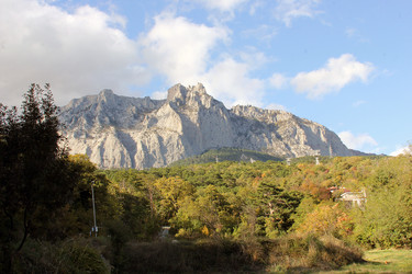 Similar image 22289524