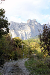 Similar image 22289527