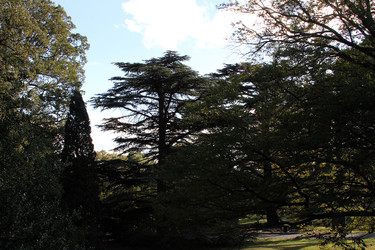 Similar image 22289630