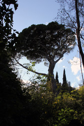 Similar image 22289631