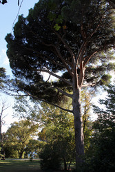 Similar image 22289632