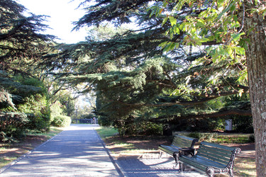 Similar image 22289633