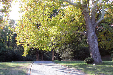 Similar image 22289635