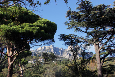 Similar image 22289636