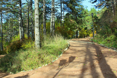 Similar image 22287755