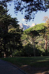 Similar image 22289637