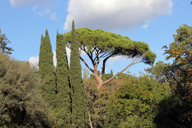 Similar image 22289639