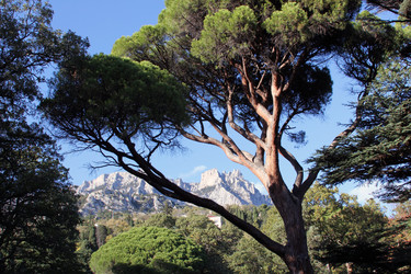 Similar image 22289641