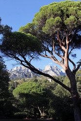 Similar image 22289642