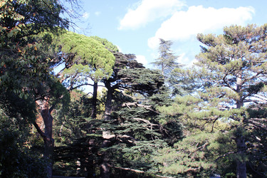 Similar image 22289643