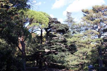 Similar image 22289644