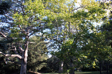 Similar image 22289645