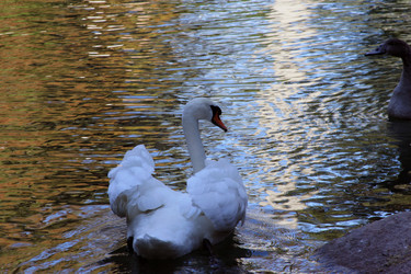 Similar image 22289646