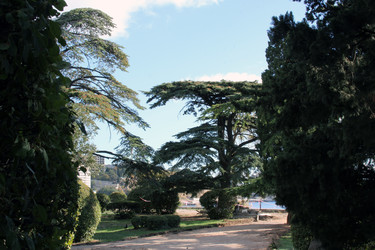 Similar image 22289661