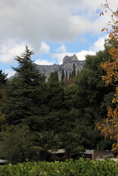 Similar image 22289667